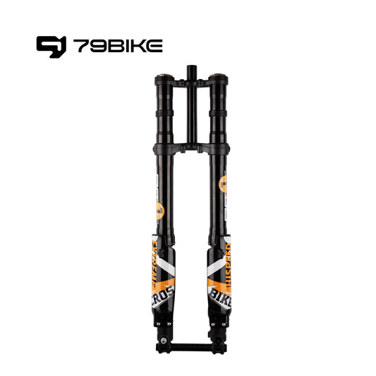 FastAce ALX13RC 2.0 Fork