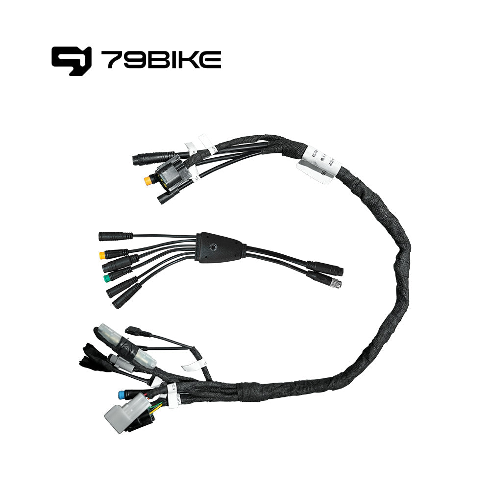 79BIKE® Whole Wiring Harness